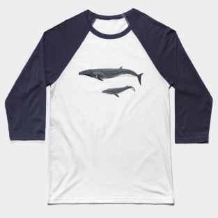 Sei whale Baseball T-Shirt